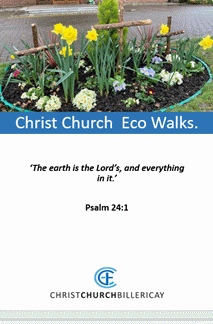 Christ Church Eco Walks